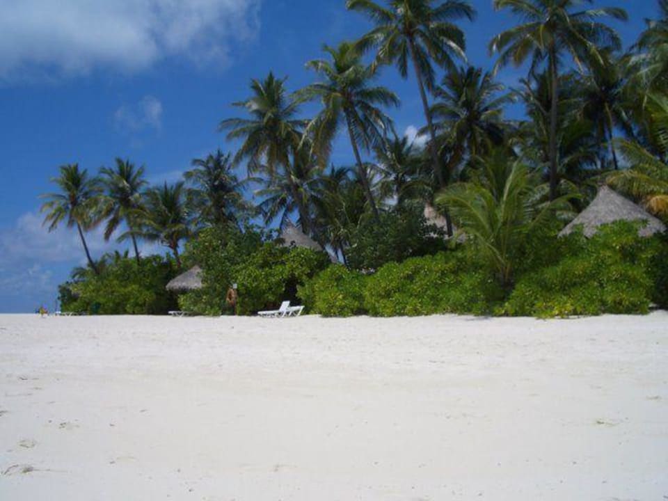 Trauminsel Sun Siyam Vilu Reef