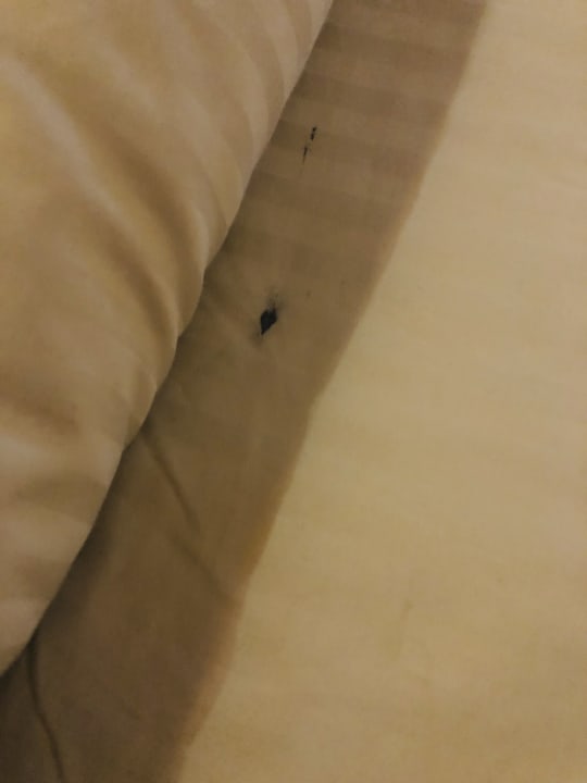 Zimmer Grand Waterworld Makadi & Family Star Makadi