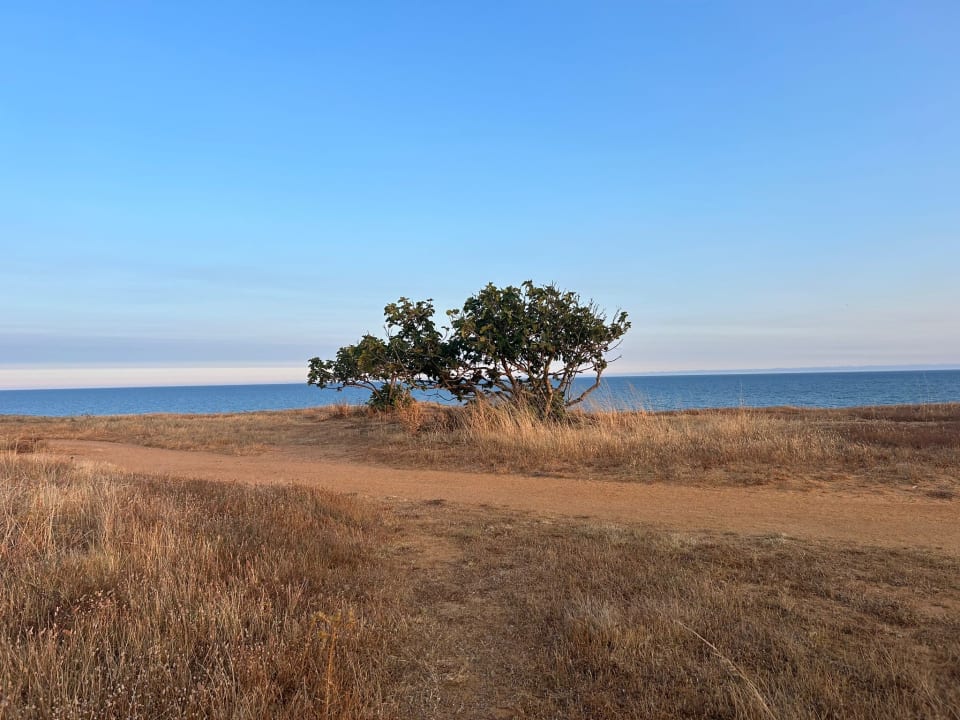 Ausblick AP Adriana Beach Resort