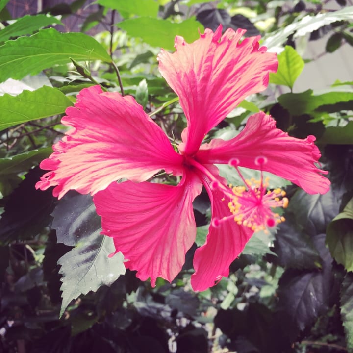 Außenansicht Tropical Islands Resort