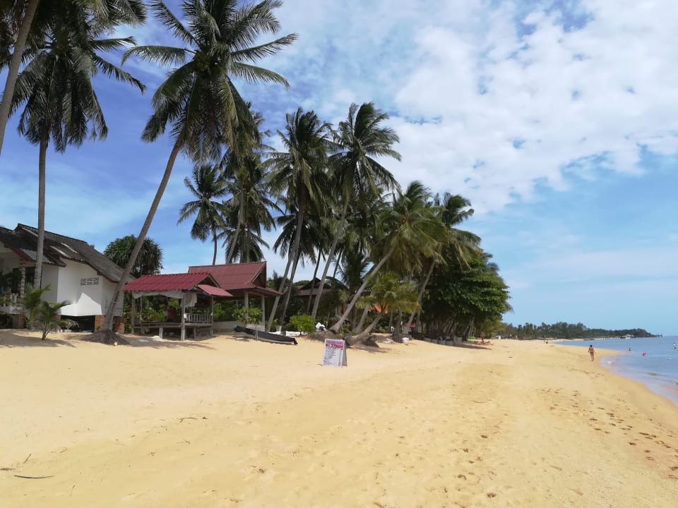 Strand Hotel Palm Point Village