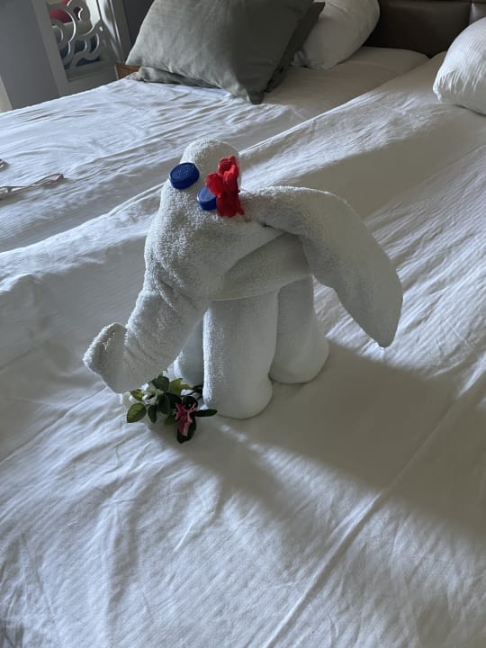 Zimmer PALOMA Perissia