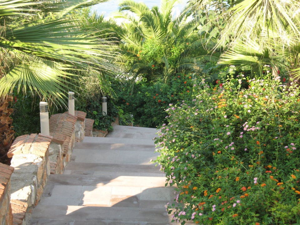 Auf dem Weg vom Bungalow zum Strand TUI MAGIC LIFE Bodrum - Adult Only (16+)
