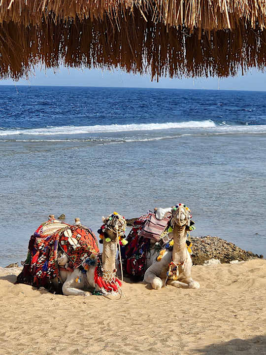 Strand Diamond Beach by Pearl Resort