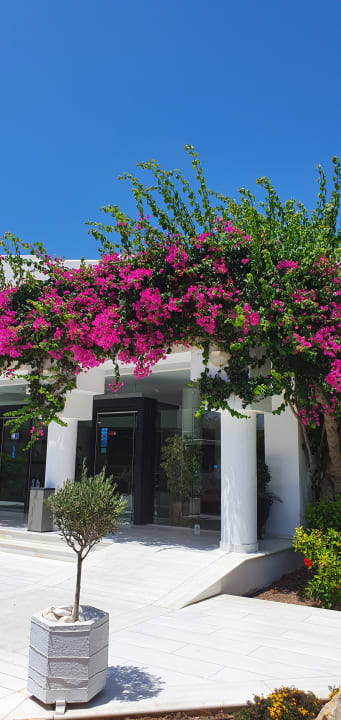 Gartenanlage Anissa Beach & Village