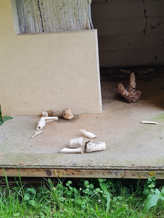 Außenansicht Gästehaus zur schönen Aussicht