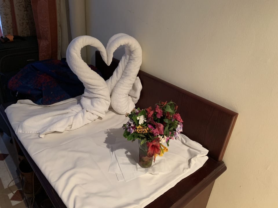 Zimmer Imperial Shams Abu Soma