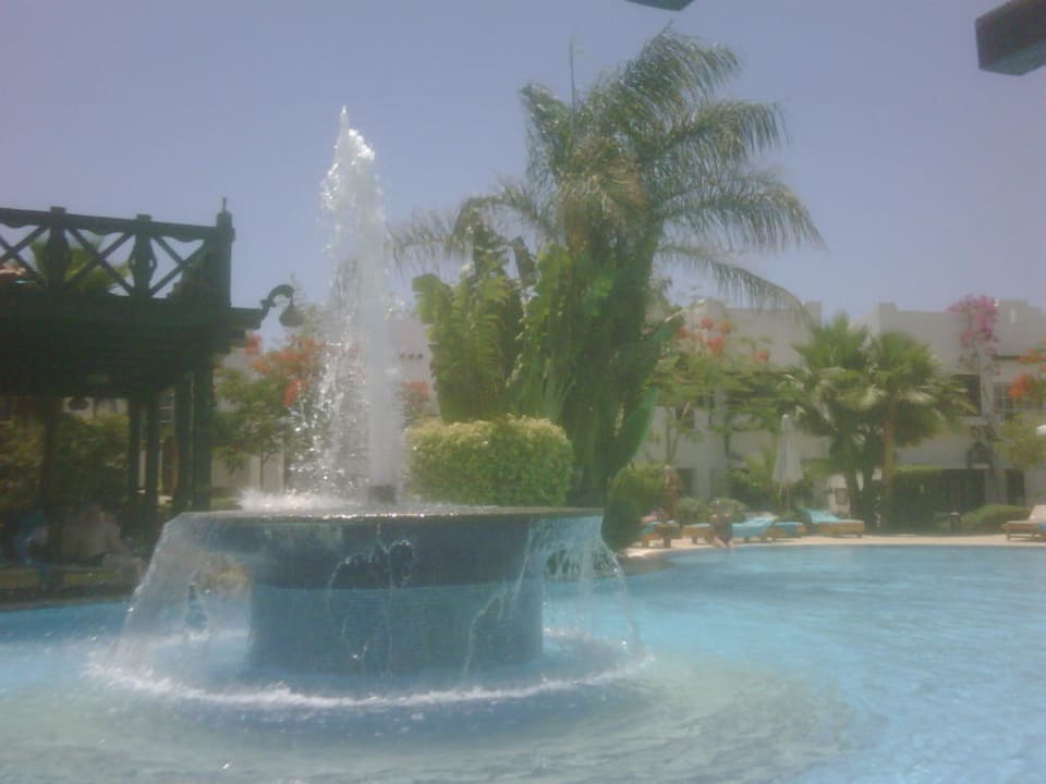 Pool Hotel Delta Sharm Resort