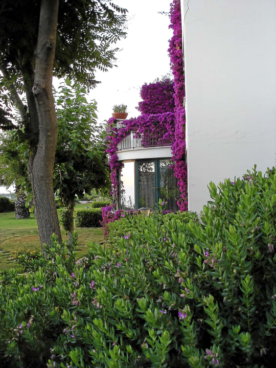 Aussicht Garten Hotel Paradiso Terme Resort & SPA