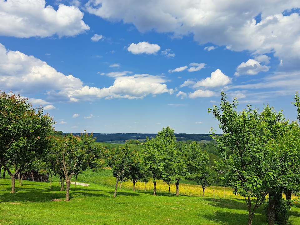 Gartenanlage Apartment - Zimmer Schober