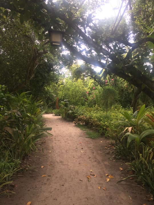 Gartenanlage Reethi Beach Resort