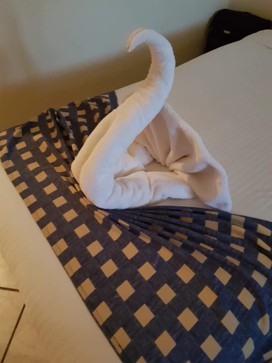 Zimmer Hotel Le Pacha Beach Resort