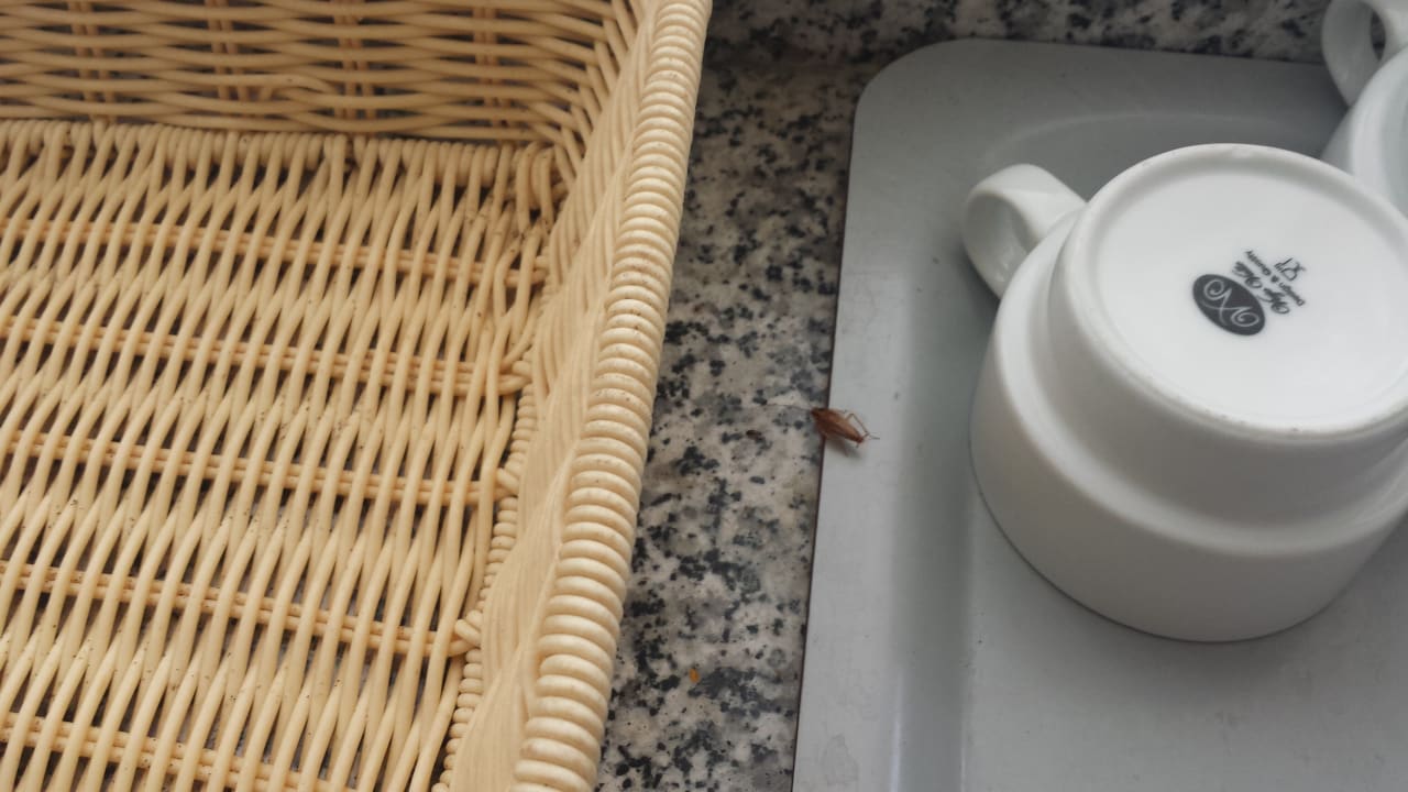 Restaurant Bei Juan Playa Blanca