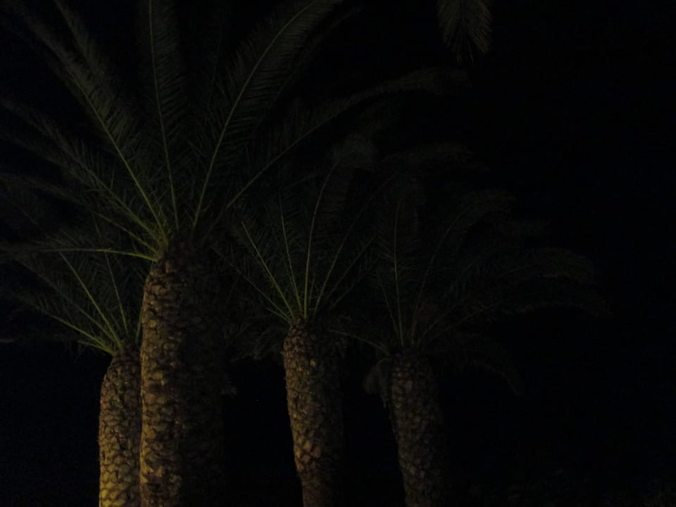 Palmenallee Anissa Beach & Village