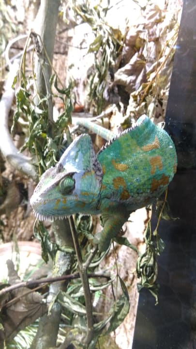 Sport & Freizeit Ferienwohnungen Ferienpark Weissenhäuser Strand