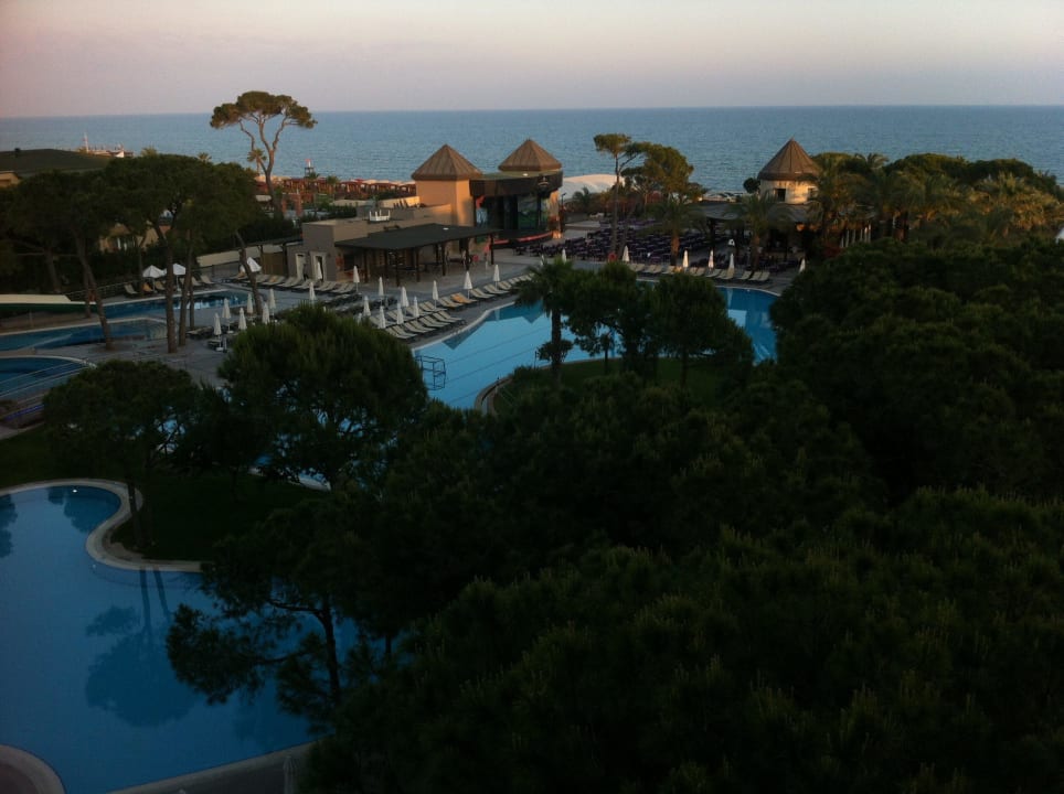 Ausblick Papillon Ayscha