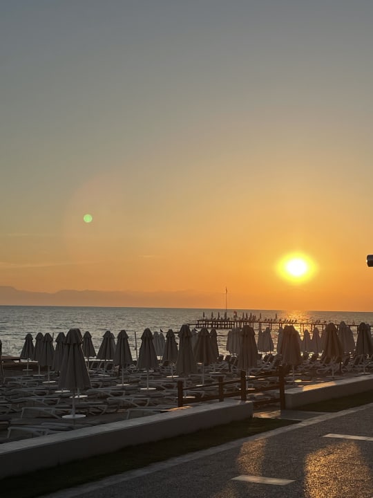 Strand Arum Barut Collection