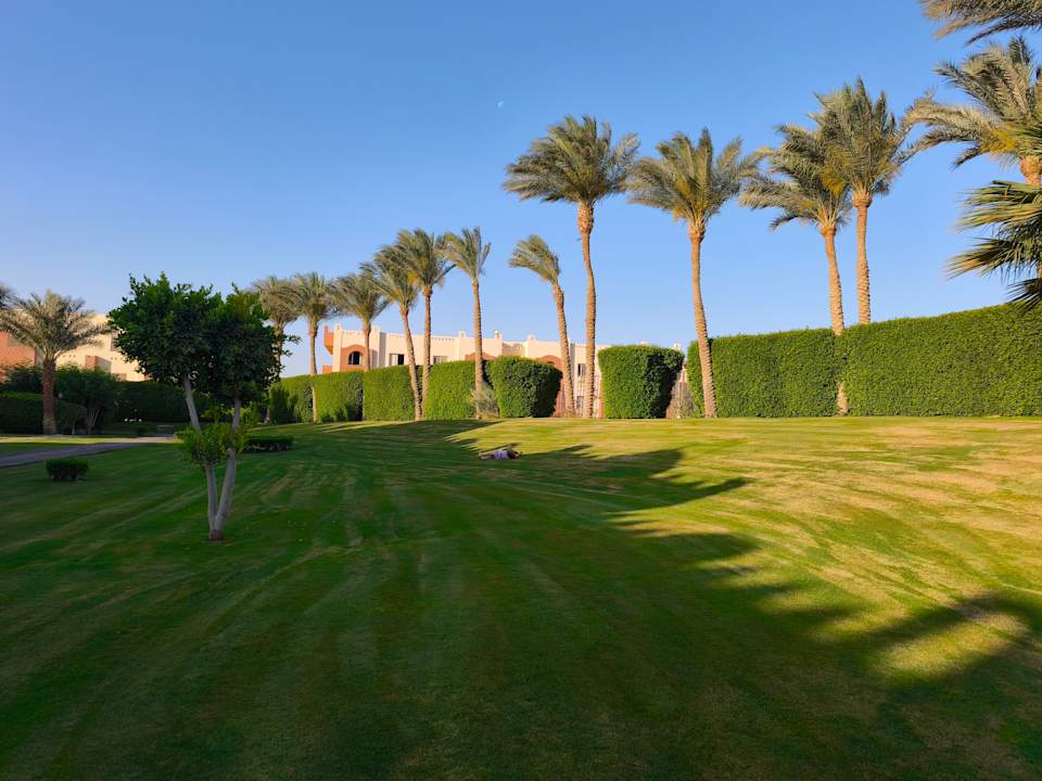 Gartenanlage SUNRISE Royal Makadi Resort