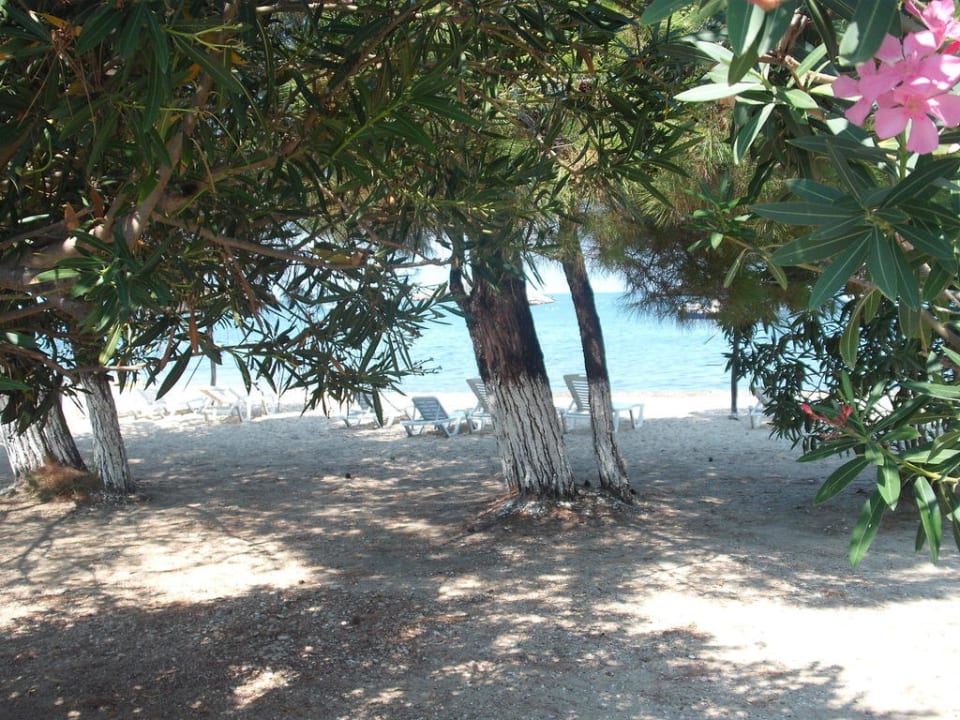 Ein schöner Blick auf einen Strand  in Prinos Hotel Artemis