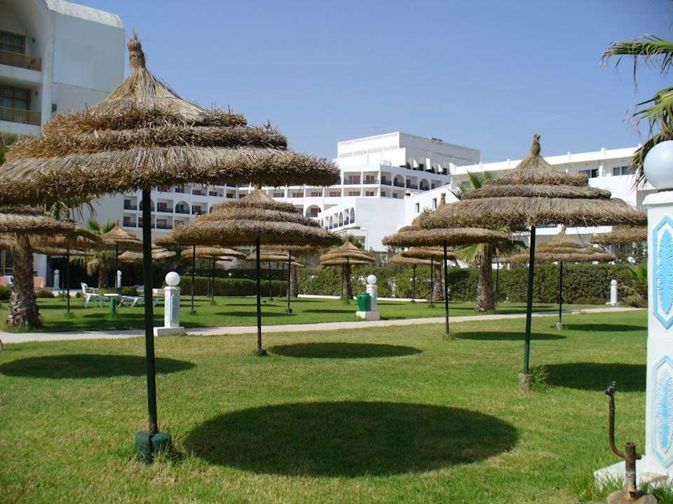 Gartenanlage Hotel Amir Palace