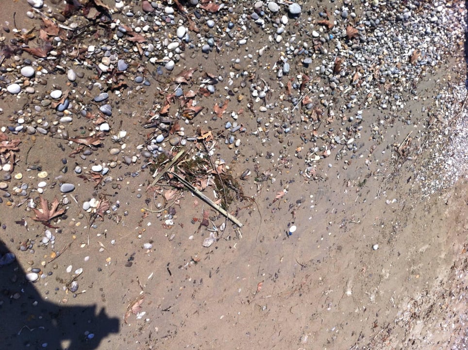 Der Strand wurde erst gar nicht mehr gereinigt Port Nature Luxury Resort & Spa