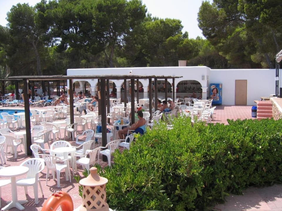 Poolbar Cala Llenya Resort Ibiza