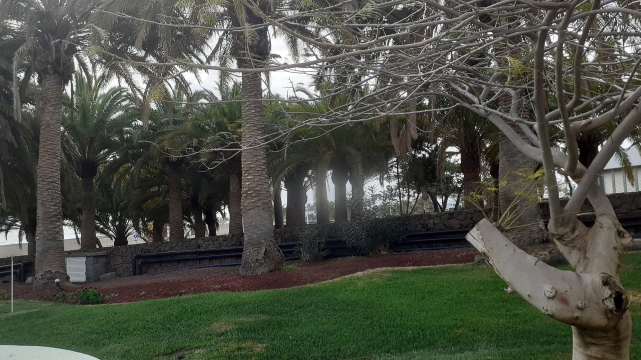 Gartenanlage Hipotels La Geria