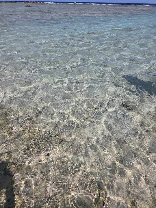 Strand Pickalbatros Vita Resort - Portofino Marsa Alam