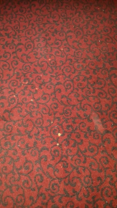 Zimmer Hotel Belle Arti