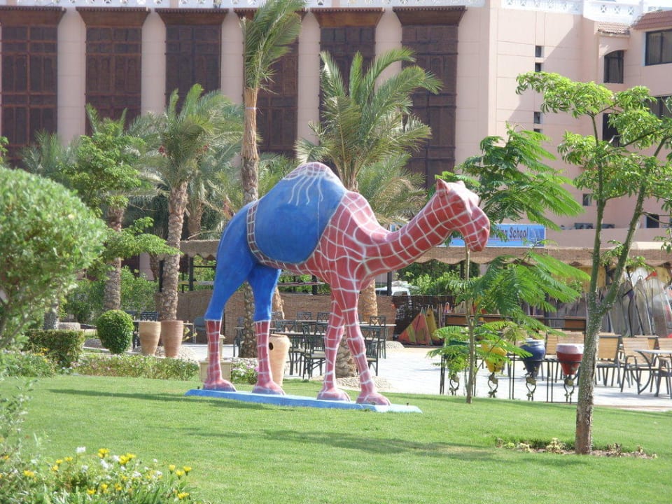 überall stehen diese tollen Kamele Pickalbatros Palace Resort
