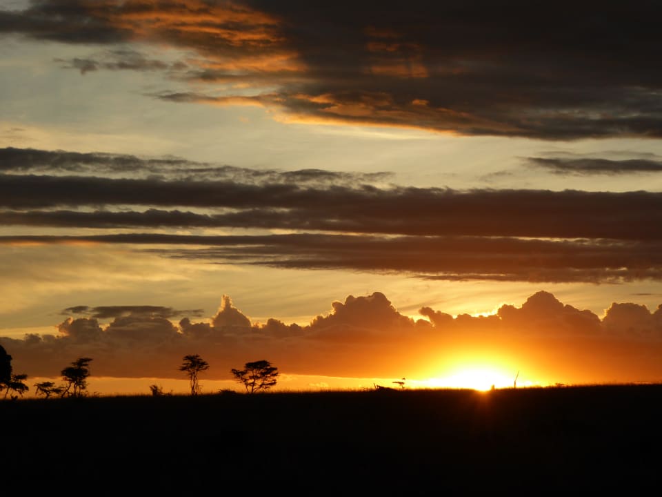 Ausblick Royal Mara Safari Lodge