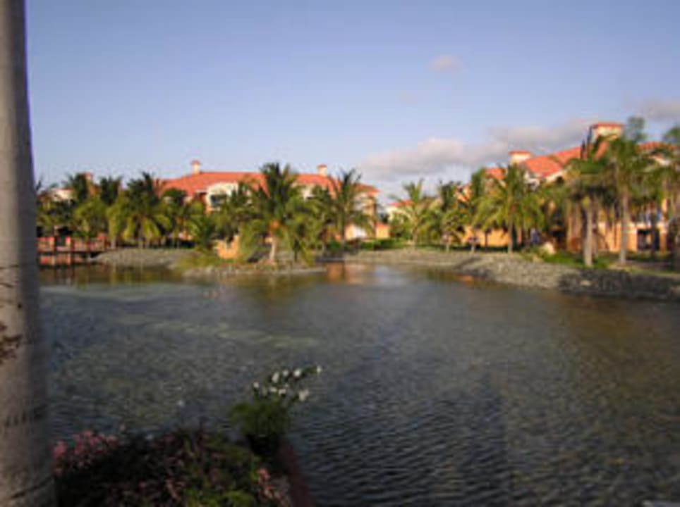 Innenanlage Iberostar Origin Playa Alameda