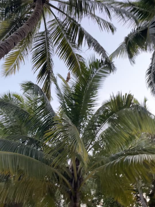 Strand Kuredu Island Resort & Spa