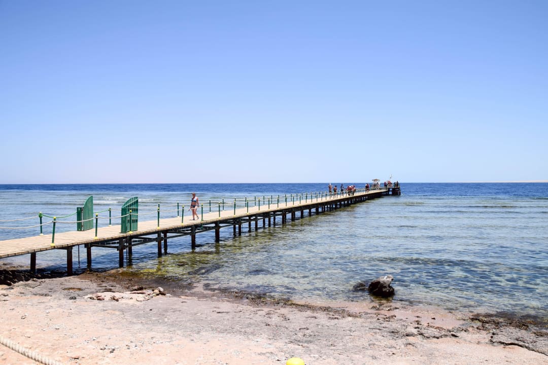 Steg zum Riff Parrotel Beach Resort