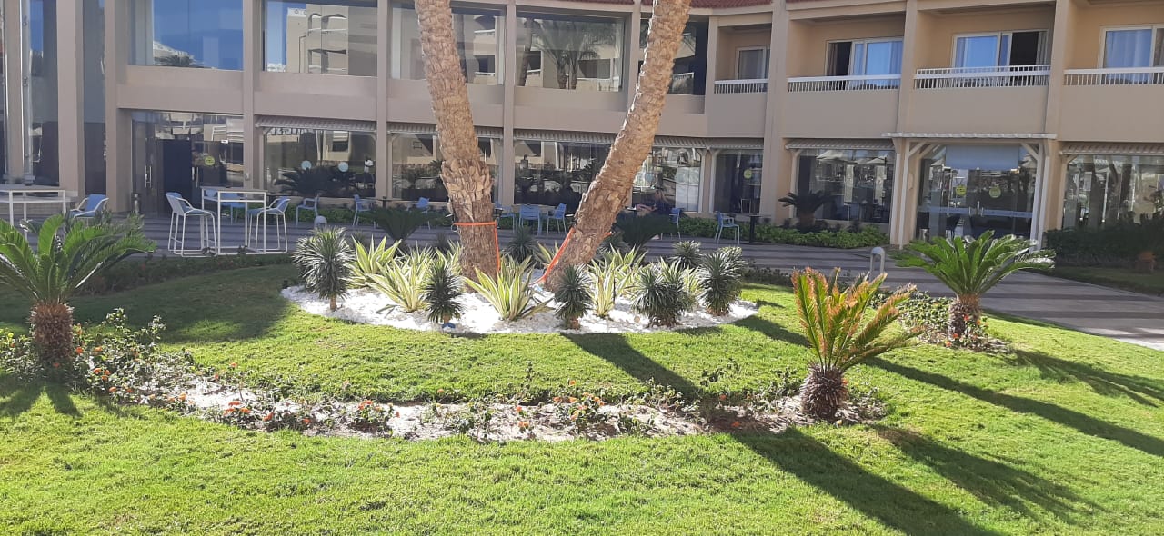 Gartenanlage Beach Albatros Resort