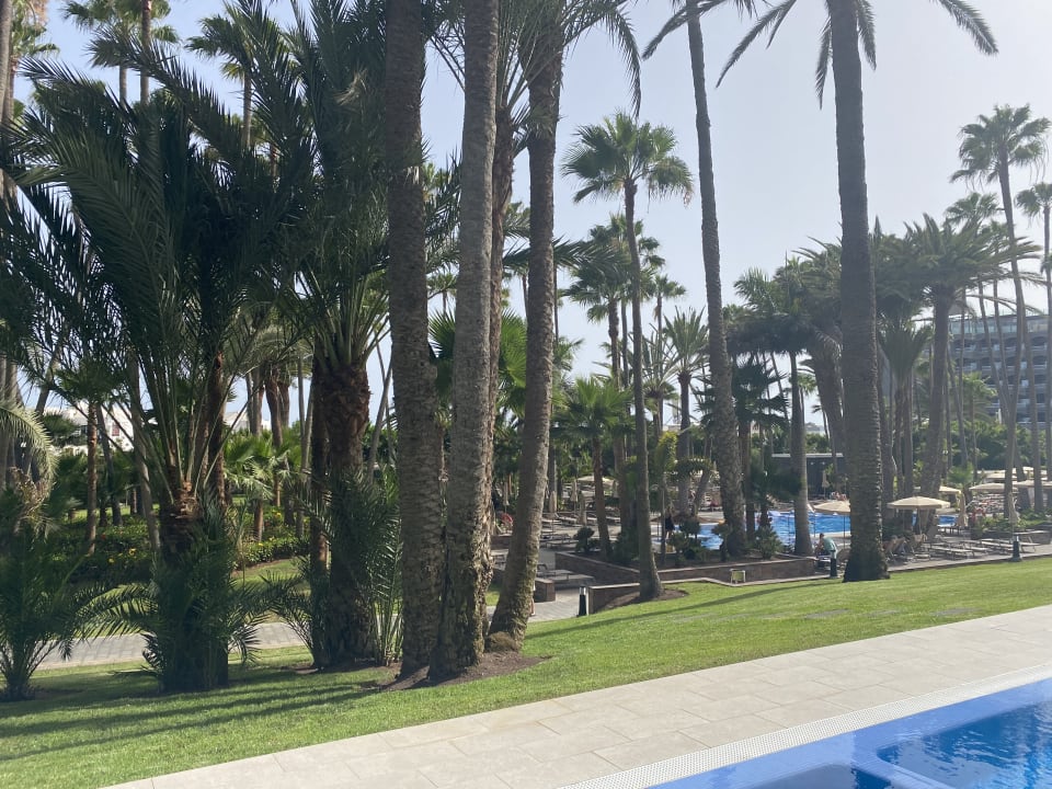 Gartenanlage Hotel Riu Palace Oasis