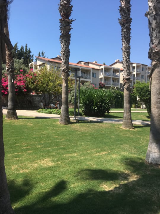 Gartenanlage Arum Barut Collection