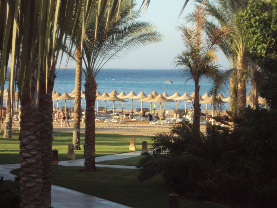 Blick von unserem Zimmer zum Strand - traumhaft Stella Beach Resort & Spa Makadi Bay