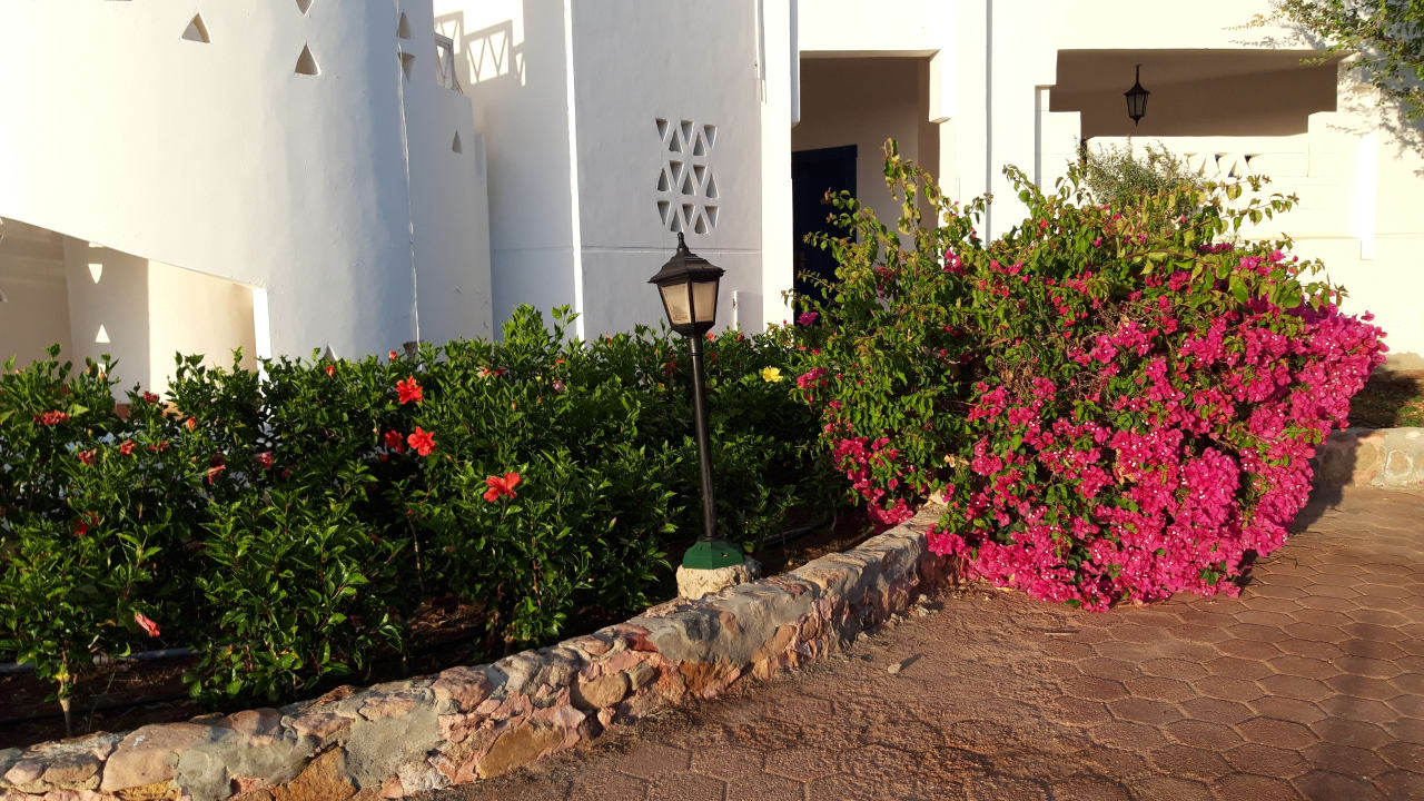 Garten Three Corners Equinox Beach Resort