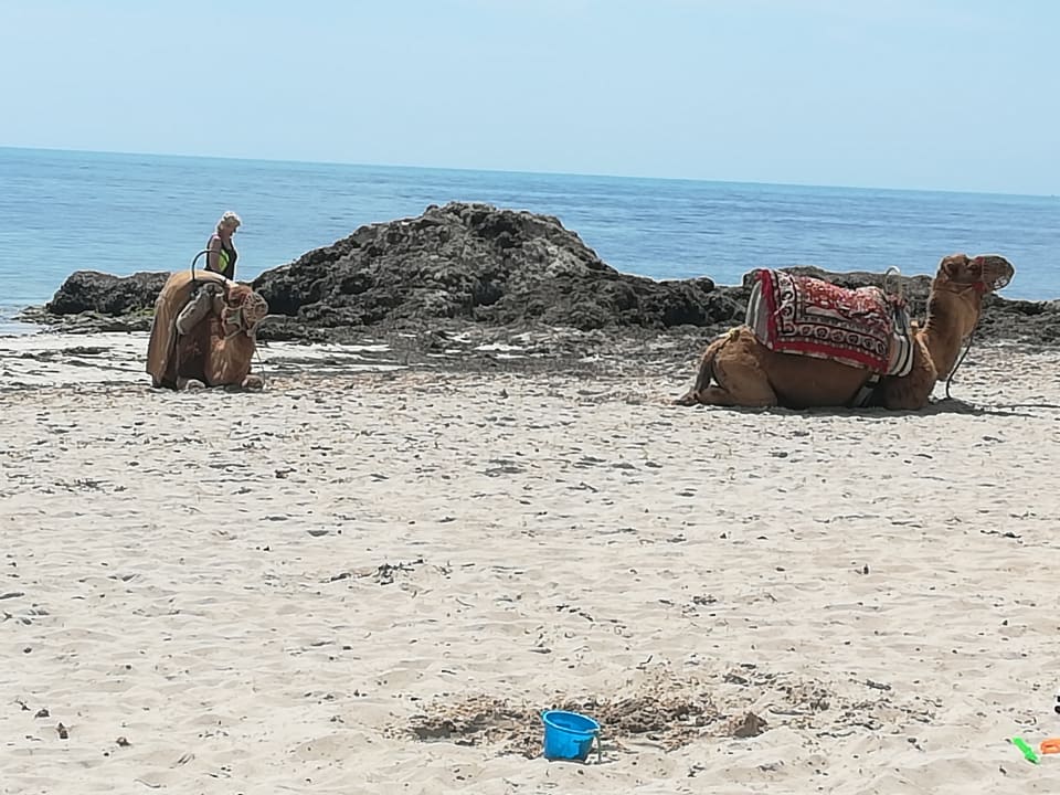 Strand Hotel El Mouradi Djerba Menzel