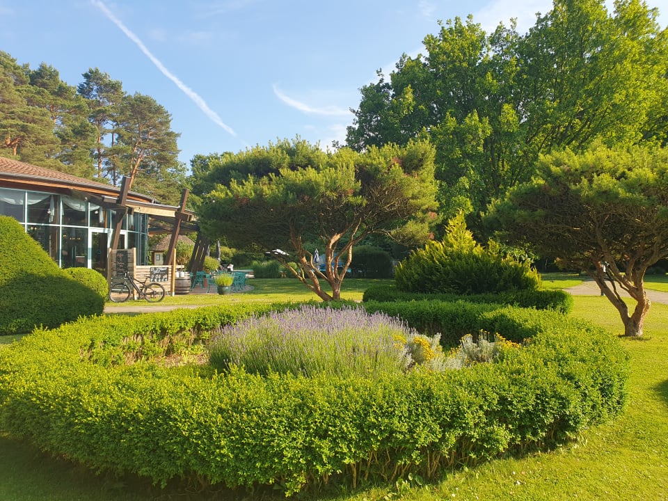 Gartenanlage Hotel Bernstein Prerow