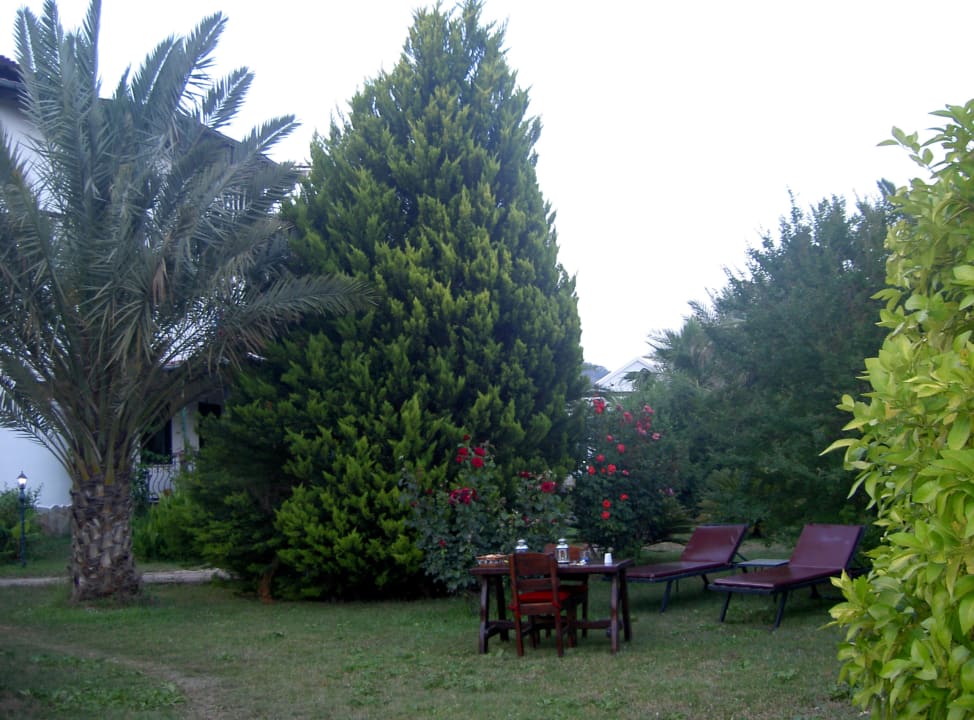 Abendessen im Garten Hotel Anatolia Resort