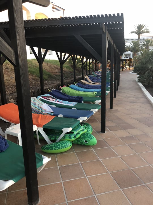 Gartenanlage TUI MAGIC LIFE Fuerteventura