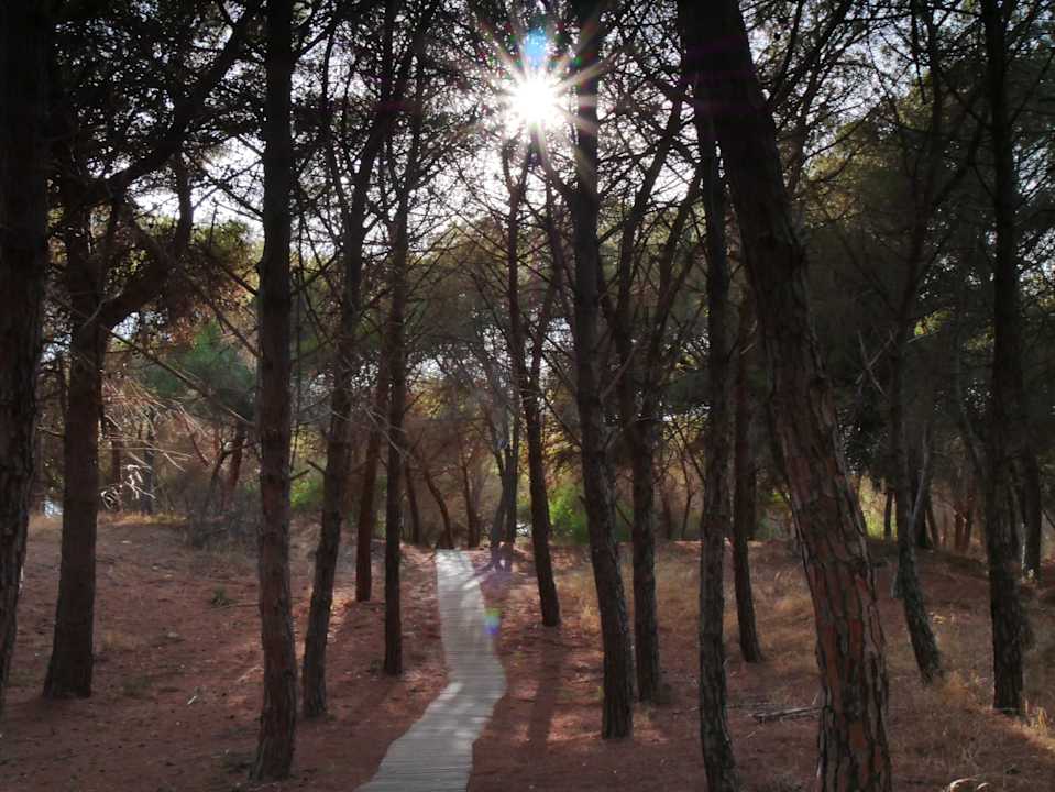 Strand Luna Minoica Suites and Apartments