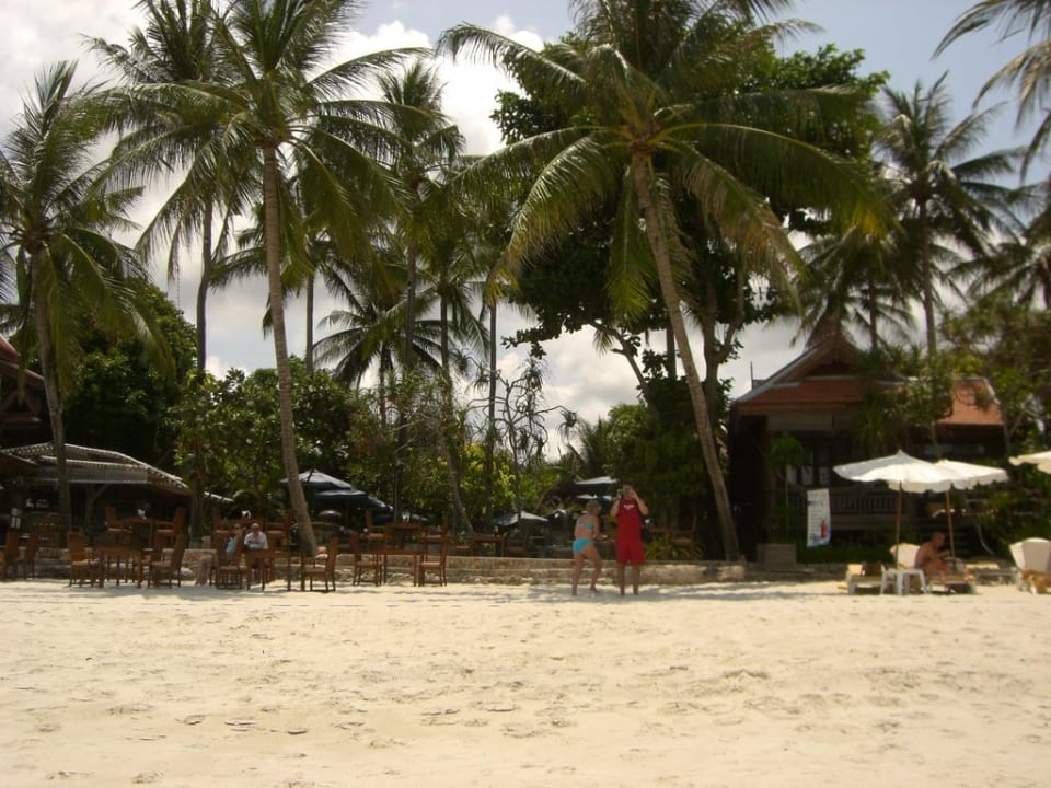 Blick zum Pool Samui Paradise Chaweng Beach Resort & Spa