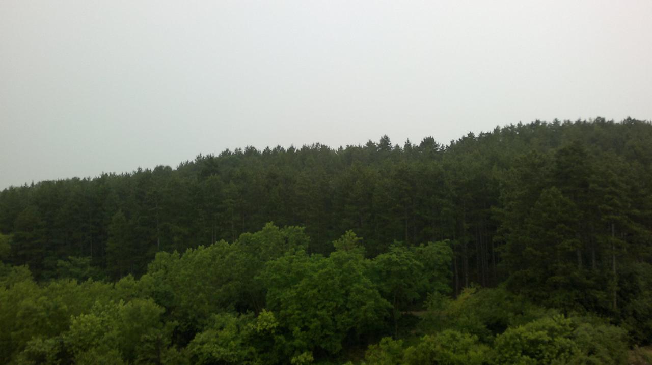 Zimmerausblick Sol Luna Bay