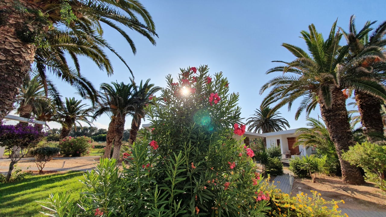 Gartenanlage Civitel Creta Beach