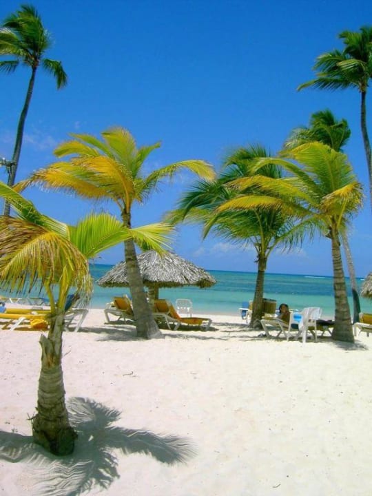 gehts noch schöner? Catalonia Punta Cana - All Inclusive