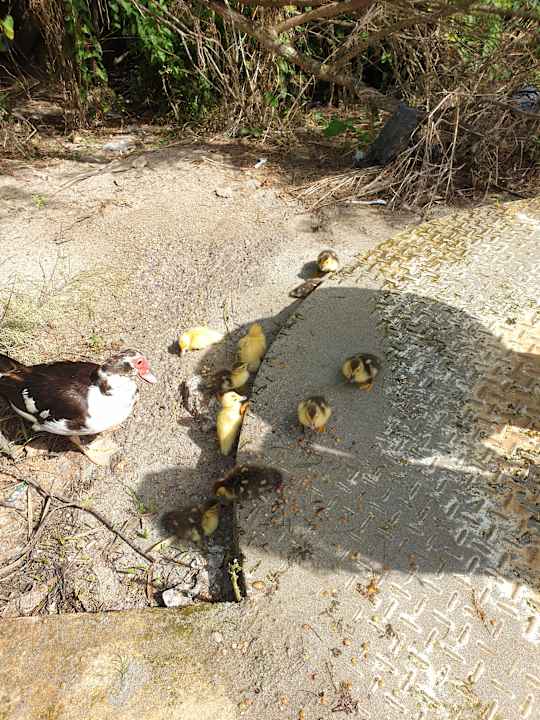 Außenansicht Hotel Exagon Park