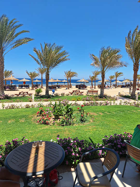 Gastro Coral Sun Beach